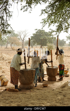 BURKINA FASO Kaya, Dorf Korsimoro, Frauen-Pfund-Hirse, der Sahel-Zone ist regelmäßig durch Dürren und Hunger betroffen. Stockfoto