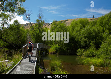 Mountainbiker auf der Feuchtgebiete Promenade am See Hayes Schaltung, Lake Hayes, Otago, Südinsel, Neuseeland Stockfoto