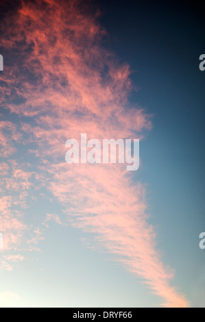 WISPs von rosa Wolken vor einem klaren blauen Himmel Sonnenuntergang, Salida, Colorado, USA Stockfoto