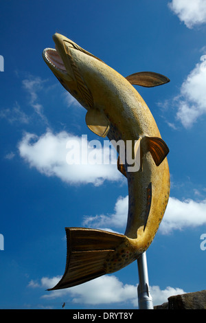 Riesige Forellen Statue, Gore, Southland, Südinsel, Neuseeland Stockfoto