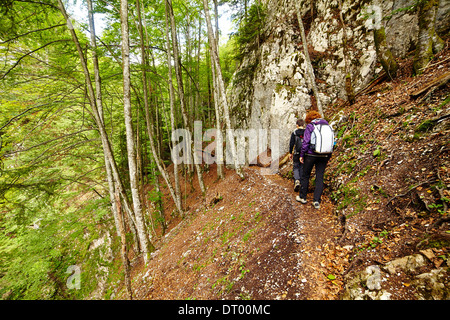 Mutter und Sohn gehen auf eine Wanderung Trail im Wald Stockfoto