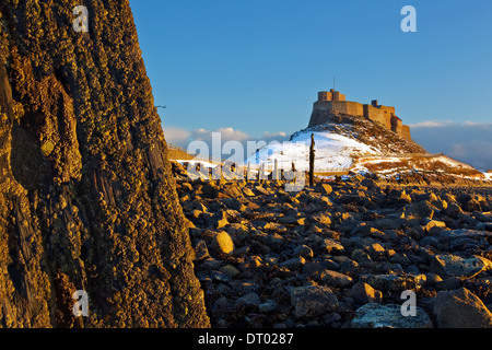 Ein Winter-Blick auf Lindisfarne Burg Stockfoto