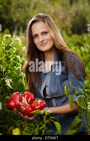 Junge Gärtner Frau mit einer Handvoll rote Reife Paprika im Freien im Garten, mit selektiven Fokus Stockfoto