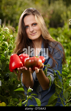 Junge Gärtner Frau mit einer Handvoll rote Reife Paprika im Freien im Garten, mit selektiven Fokus Stockfoto