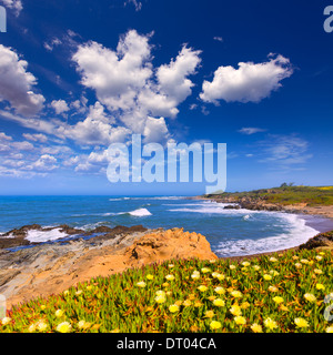 Kalifornien Bean Hollow State Beach in Cabrillo Highway auf der State Route 1 San Mateo Stockfoto