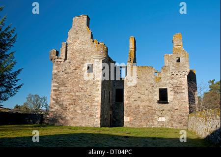 Die Ruinen des 16. Jahrhunderts Glenbuchat Castle mit Blick auf den Fluss Don Strathdon, Aberdeenshire.   SCO 9306
