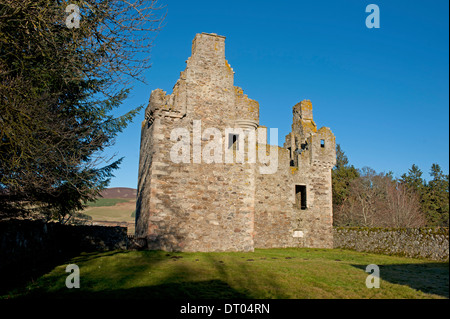 Die Ruinen von Glenbuchat Castle mit Blick auf den Fluss Don Strathdon, Aberdeenshire.   SCO 9307