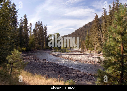 Cle Elum Fluss und Kiefer-Baum-Wald am Fuße der Cascade Mountains, National Forest Okanogan-Wenatchee, WA, USA Stockfoto