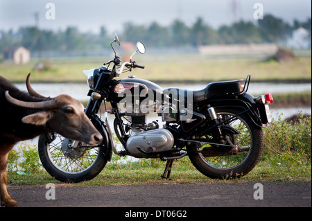 Royal Enfield und Wasserbüffel in Kadambadi Tamil Nadu Indien in der Nähe von Chennai. Stockfoto