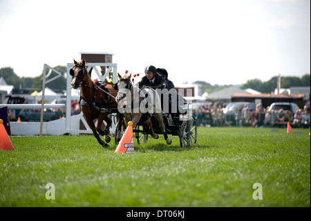 Wettbewerber in Aktion im Double Harness huschen fahren Wettbewerb am Edenbridge und Oxted Agricultural Show in Surrey Stockfoto