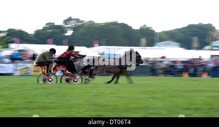 Ein ungewöhnliches Bild spannende Action in einem Double Harness huschen fahren Wettbewerb auf der Edenbridge & Oxted in Surrey Stockfoto