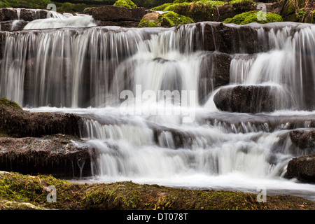 Kaskaden in Scaleber Beck unter Scaleber Kraft begleichen North Yorkshire England Stockfoto
