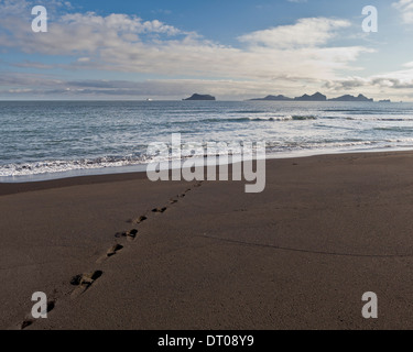 Wellen an der Küste am Bakkafjara Beach, South Coast, Island. Stockfoto