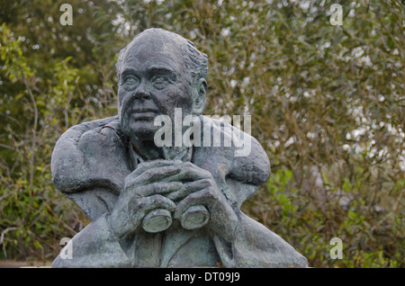 Statue von Sir Peter Scott hält Fernglas Stockfoto