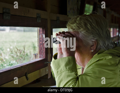 Grauen Haaren mit dem Fernglas betrachtet man Vögel aus einem Vogel verstecken. Sie trägt einen lindgrünen Anstrich. Stockfoto