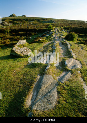 Haytor Rocks, Dartmoor, Devon: Granit Kuppeln über die Reste der C19th Granit Steinbruch Straßenbahn mit Stein-Schnitt Schienen & Punktesystem (Schalter) Stockfoto