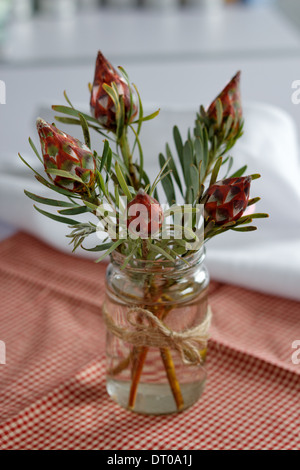 Exotische Blumen in Glas Stockfoto