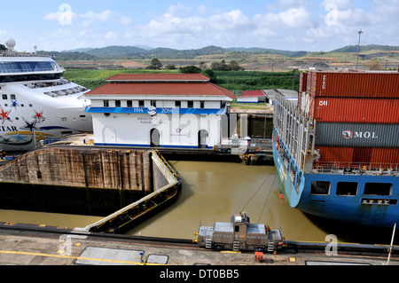 Mol Excellence Container Schiff und Norwegisch Sterne Kreuzfahrtschiff im Panamakanal Miraflores Schleusen Stockfoto