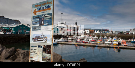 Hafen von Reykjavik, Reykjavik, Island Stockfoto