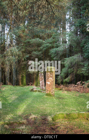 Kilmore Standing Stones auf Dervaig auf der Isle of Mull in Schottland. Stockfoto