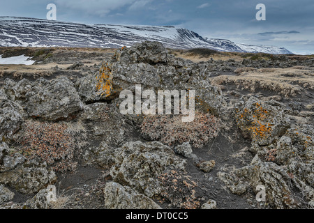 Lava Rock und Moos von Wasserfall Godafoss, Island Stockfoto