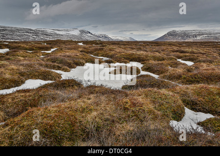 Lava Rock und Moos von Wasserfall Godafoss, Island Stockfoto