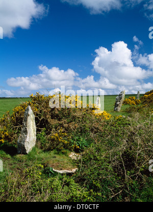 NNE mit Blick auf vier aufrechten Steinen der neun Jungfrauen r. Stein ausgeführten SW-NE auf der Südseite des St Breock Downs, Cornwall. Stockfoto