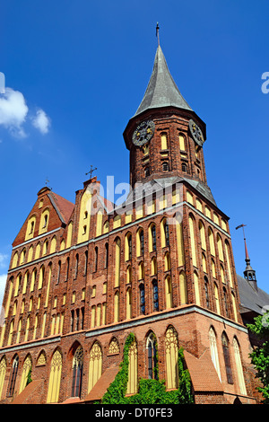 Königsberger Dom - gotischer Tempel aus dem 14. Jahrhundert. Symbol für Kaliningrad (bis 1946 Königsberg), Russland Stockfoto