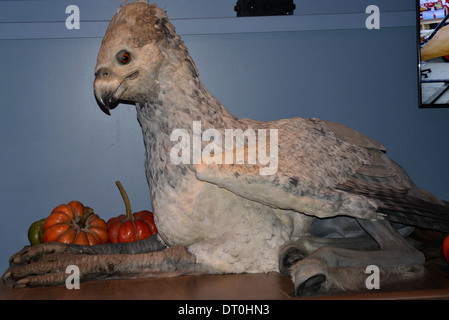 Hippogriff Modell bei Warner Brothers harry Potter-Studio-Tour in London Stockfoto