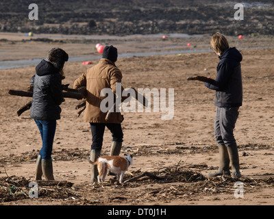 Familie sammeln Treibholz für Brennholz auf dem Strand, Bude, Cornwall, UK Stockfoto