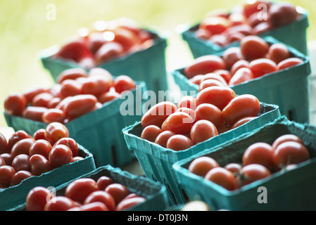 Woodstock New York USA Bio rote Kirschtomaten in Kisten Markt stall Stockfoto