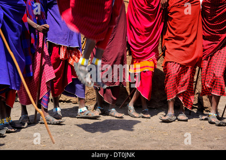 Massai-Krieger dabei, eine traditionelle springen tanzen Stockfoto