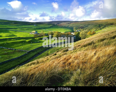 Einen erhöhten Blick auf Teil des Littondale in den Yorkshire Dales, UK Stockfoto