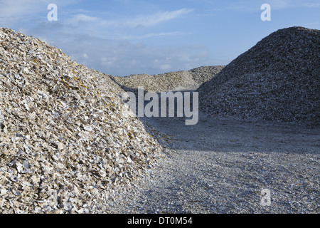 Oysterville Washington USA Road durch Pfähle von ausrangierten Austernschalen Stockfoto
