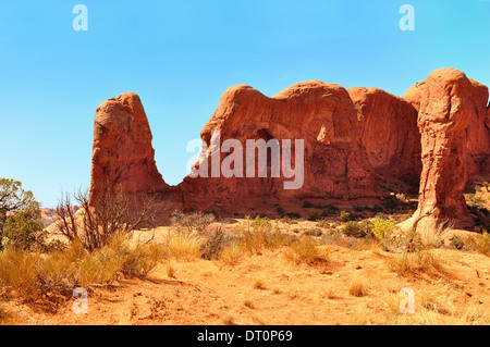 Elefant-Arches-Nationalpark, Utah, USA Stockfoto