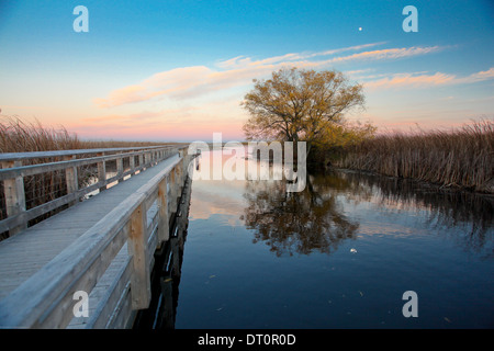 Punkt Pelee Nationalpark bei Sonnenuntergang Stockfoto