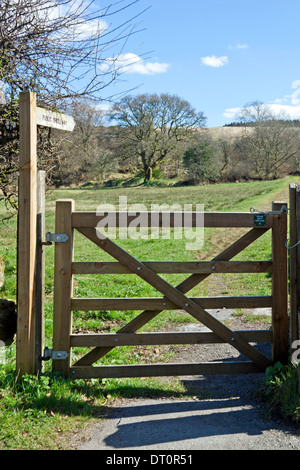 Öffentliche Bridlepath an Postbridge, Dartmoor Nationalpark, Devon, Großbritannien. Stockfoto