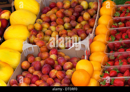 Frisches Obst Anzeige auf einem bunten Markt Stall in Derbyshire. England Stockfoto