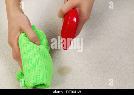 Horizontale Foto weibliche Hände reinigen Flecken im Teppich mit Spray-Flasche und Mikrofaser-Tuch Stockfoto