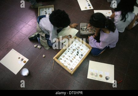 Junge israelische Jüdische und arabische Schülerinnen während einer Biologie Vortrag in 'Hand in Hand' integriert, zweisprachige Hebrew-Arabic Schule für jüdische und arabische Kinder in Jerusalem Israel Stockfoto