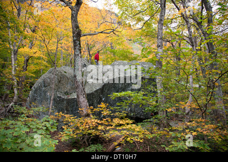 Ein einsamer Wanderer genießt den frühen Herbst Farbe Futter Smugglers' Notch auf VT 108, zwischen Stowe und Jeffersonville, Vermont. Stockfoto