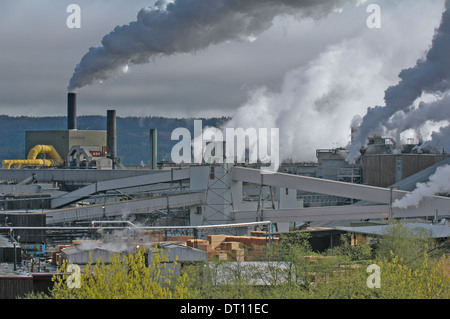 Cambell River Zellstofffabrik, Vancouver Island, Kanada Stockfoto