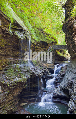 Die Schlucht Trail, einer schmalen Leiste auf der linken Seite folgt ein Bach in Watkins Glen State Park, US-Bundesstaat New York. Stockfoto