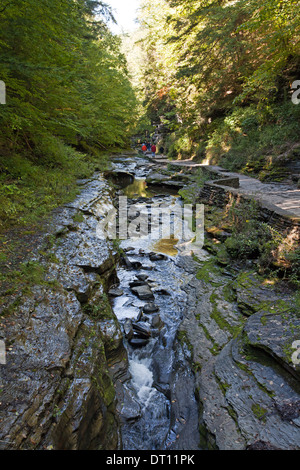 Der Schlucht Weg folgt einem schmalen Bach in Watkins Glen State Park, US-Bundesstaat New York. Stockfoto