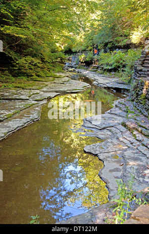 Der Schlucht Weg folgt einem schmalen Bach in Watkins Glen State Park, US-Bundesstaat New York. Stockfoto