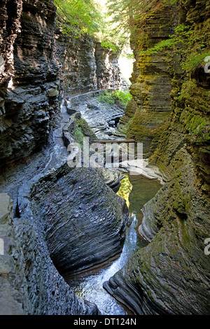 Der Schlucht Weg folgt einem schmalen Bach in Watkins Glen State Park, US-Bundesstaat New York. Stockfoto