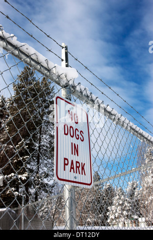 Ein Schild an einem Zaun, der keine Hunde im Park sagt. Stockfoto