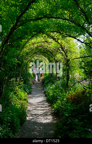 Wisteria Sinensis weiße chinesische Blüte Blüten Blütenstand Blütentrauben decken Metall Bogen gewölbte Spaziergang Gehweg Altamont Gärten carlow Stockfoto
