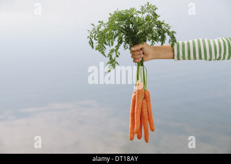 Seattle Washington USA neun Jahre altes Mädchen halten Bio-Karotten Stockfoto