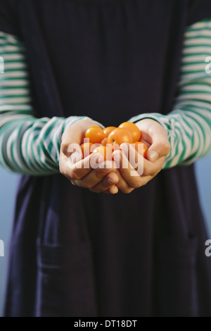 Seattle Washington USA neun Jahre altes Mädchen Bio gelbe Kirschtomaten Stockfoto